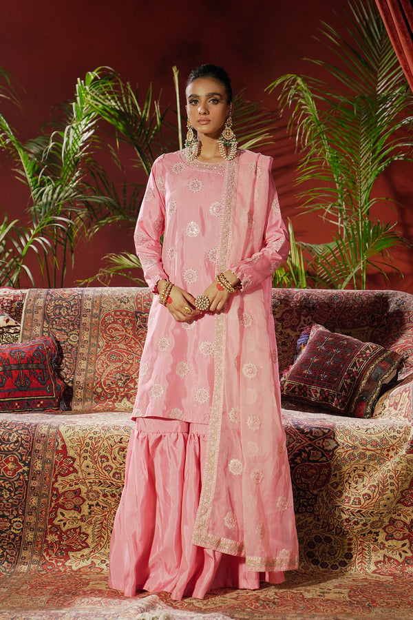 Ethnic: EMBROIDERED SUIT (E0207/104/423)